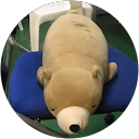 bunbun ko profile picture