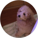 神子一希 profile picture