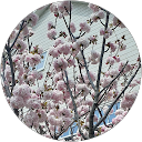 ワンちゃん大好きかずきいぬ profile picture