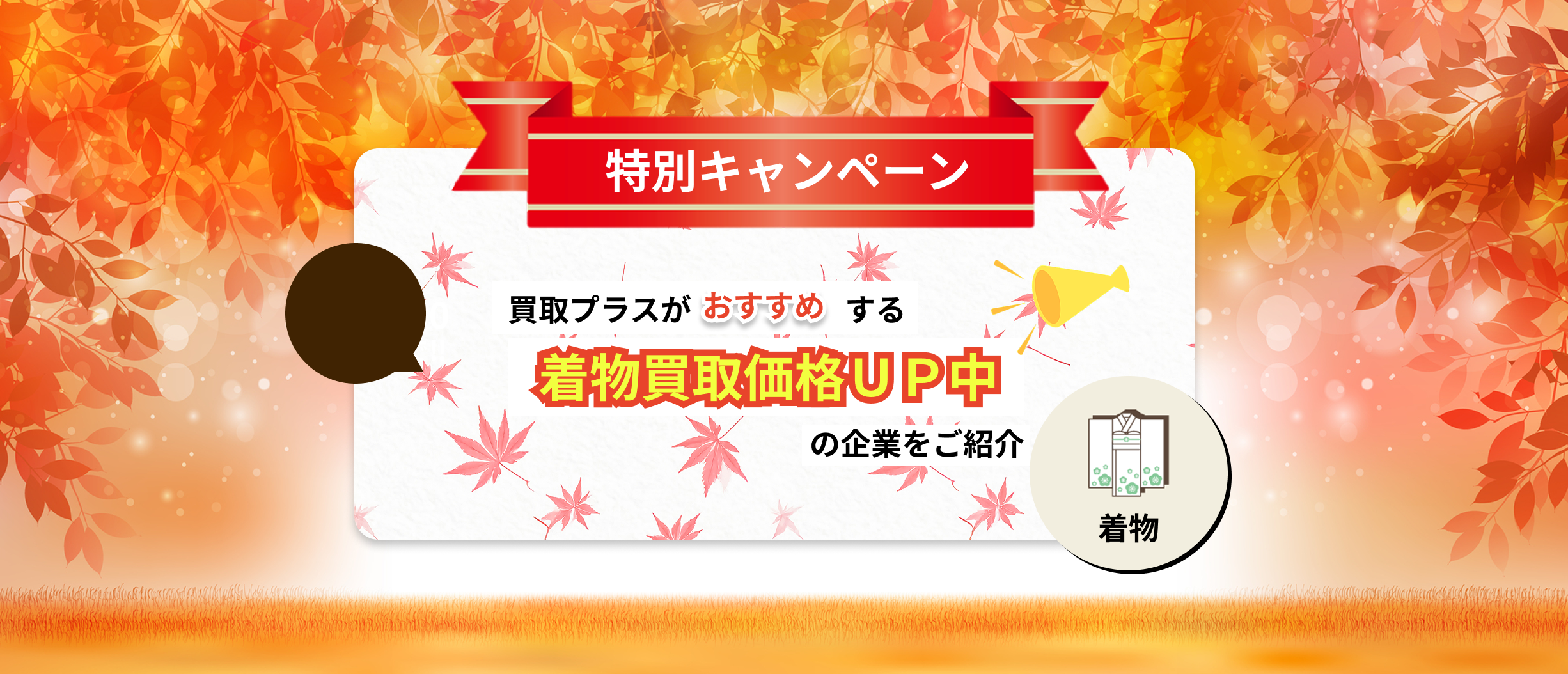 11月限定の着物買取キャンペーン取り扱い企業
