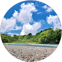 ノリ profile picture