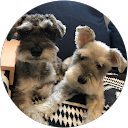 ゆうたん profile picture