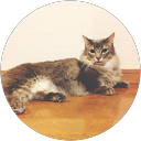 Naz Z. profile picture