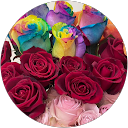 Ayumi profile picture