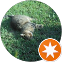 はるか profile picture