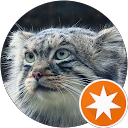 ぽめたろう profile picture