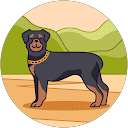 こうきすずき profile picture