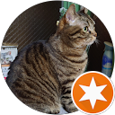 社昭江（やっしぃ） profile picture