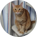 西川由希美 profile picture