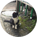 あちゃあちゃ profile picture