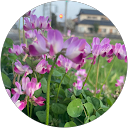 まみちゃん profile picture