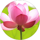 karen profile picture