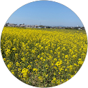 はる profile picture