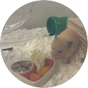 小林 profile picture