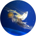 平岩たかし profile picture