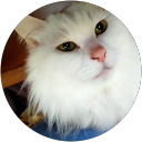 ふるたにはんぺん profile picture