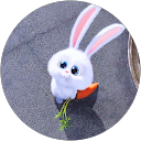 くらげくらげ profile picture