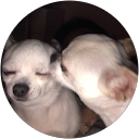 0315 majesty profile picture