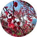 みみみ profile picture