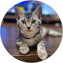 Yuki Wasa profile picture