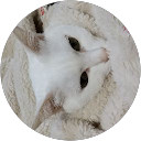 ぱぁり profile picture