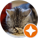 ペロティガー profile picture