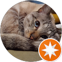 花太郎金太郎 profile picture