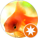 空海1518 profile picture