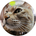 さとの助（さとの助） profile picture