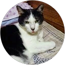 オグラヒロミ profile picture