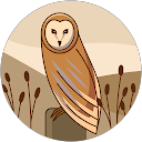 Oolongtea_san profile picture