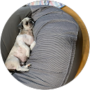 ラテ王 profile picture