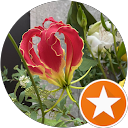 Mimi M profile picture