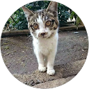 塩野目恵 profile picture