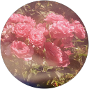 めんめん profile picture