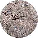 rako N profile picture