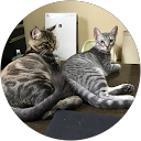 東工業 岩本政司 profile picture