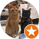 錆と三毛 profile picture