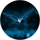 買取店比較 profile picture