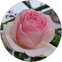 なな profile picture