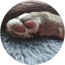 もちこ(チョコバナナ) profile picture