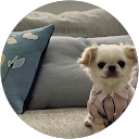 そんちん profile picture