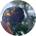 びたーちょこ profile picture