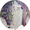 みこ profile picture