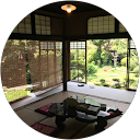 Wild Cat profile picture