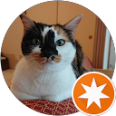 YOSHIKO profile picture