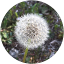 mi itou profile picture