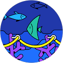 na n profile picture