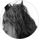 星野房子 profile picture