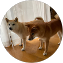 森邦子 profile picture